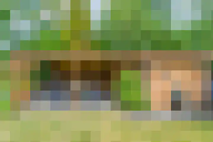 Sprakelingen 10 Wittelte thumbnail 39