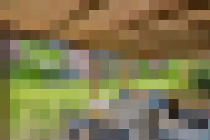 Sprakelingen 10 Wittelte thumbnail 40