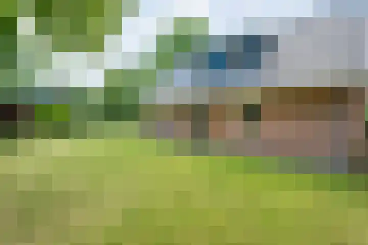 Sprakelingen 10 Wittelte thumbnail 41