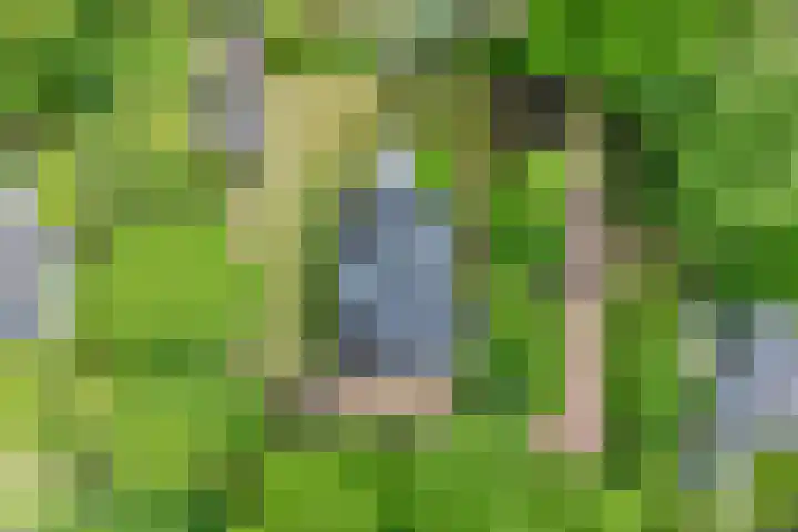 Sprakelingen 10 Wittelte thumbnail 43