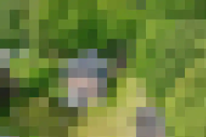 Sprakelingen 10 Wittelte thumbnail 45