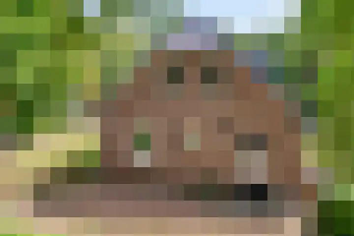 Sprakelingen 10 Wittelte thumbnail 7