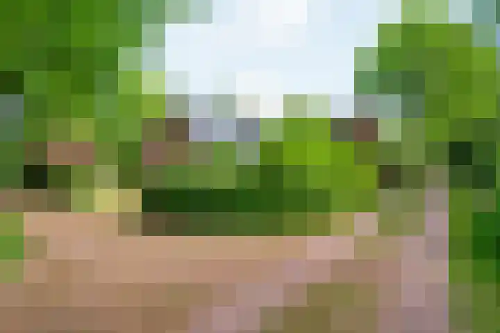 Sprakelingen 10 Wittelte thumbnail 8
