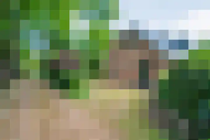 Sprakelingen 10 Wittelte thumbnail 9