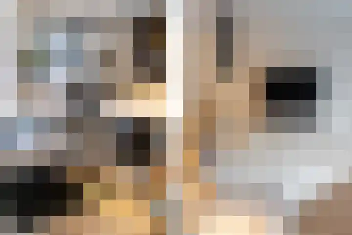 Sprang 4 Poeldijk thumbnail 10