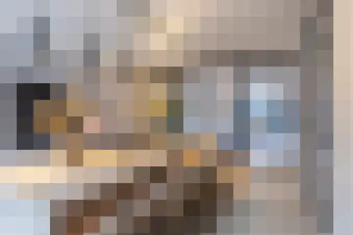 Sprang 4 Poeldijk thumbnail 12