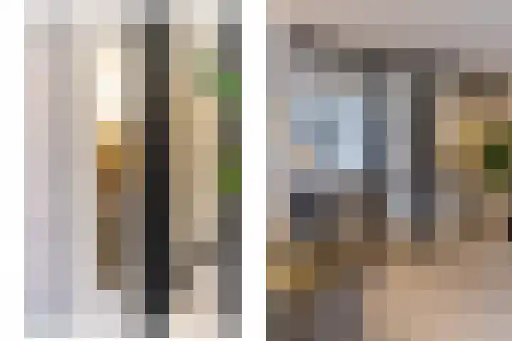 Sprang 4 Poeldijk thumbnail 13