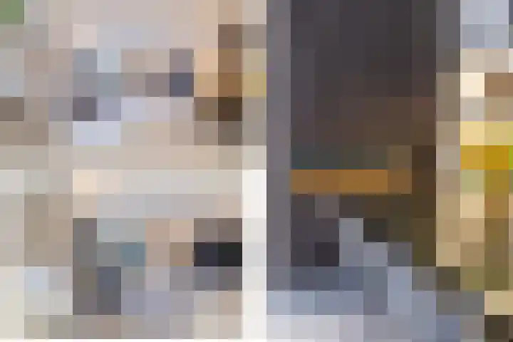 Sprang 4 Poeldijk thumbnail 17