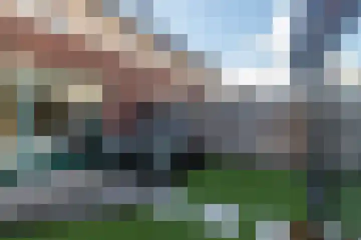 Sprang 4 Poeldijk thumbnail 18