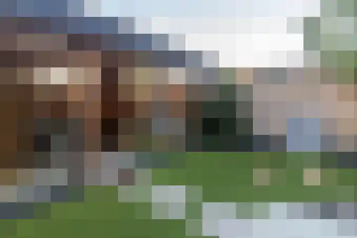 Sprang 4 Poeldijk thumbnail 19