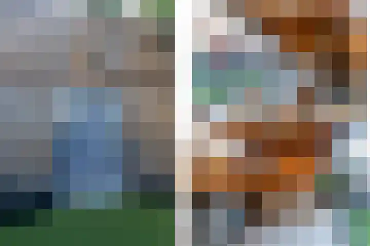 Sprang 4 Poeldijk thumbnail 20