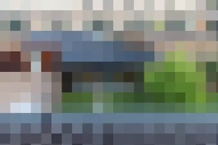 Sprang 4 Poeldijk thumbnail 21
