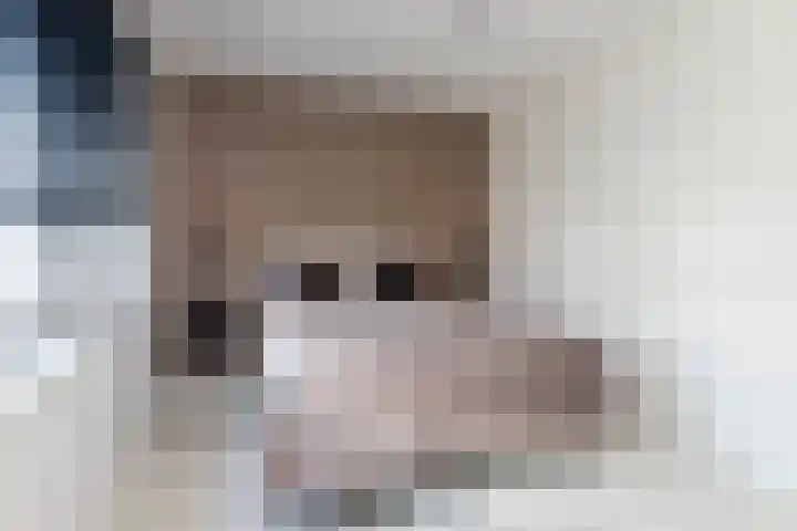 Sprang 4 Poeldijk thumbnail 23