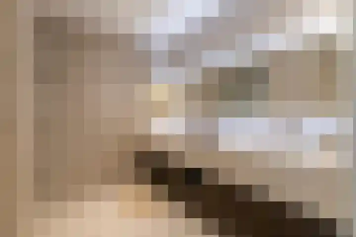 Sprang 4 Poeldijk thumbnail 25