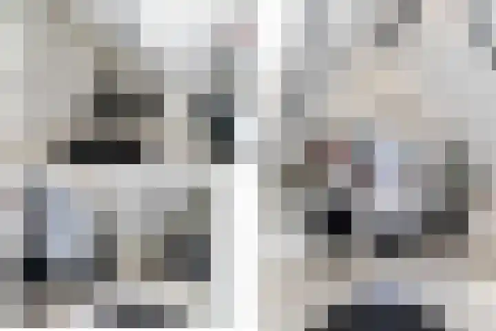 Sprang 4 Poeldijk thumbnail 31