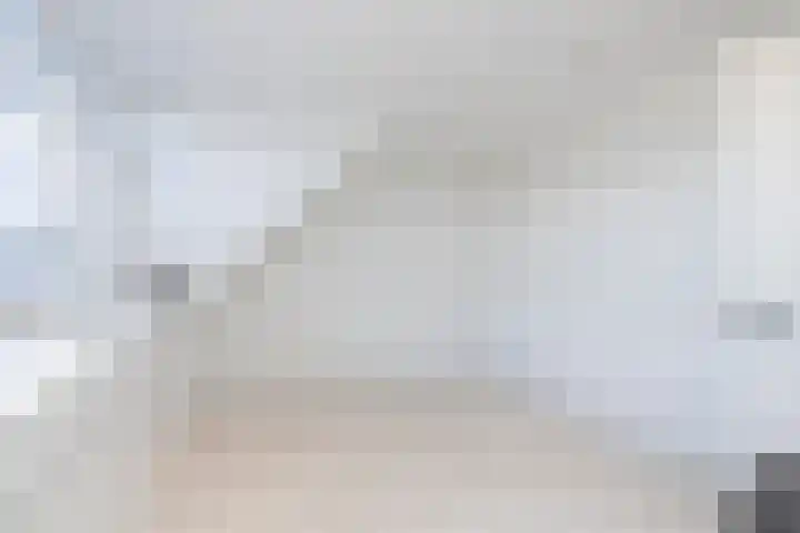 Sprang 4 Poeldijk thumbnail 33