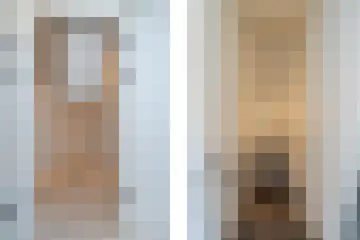 Sprang 4 Poeldijk thumbnail 35
