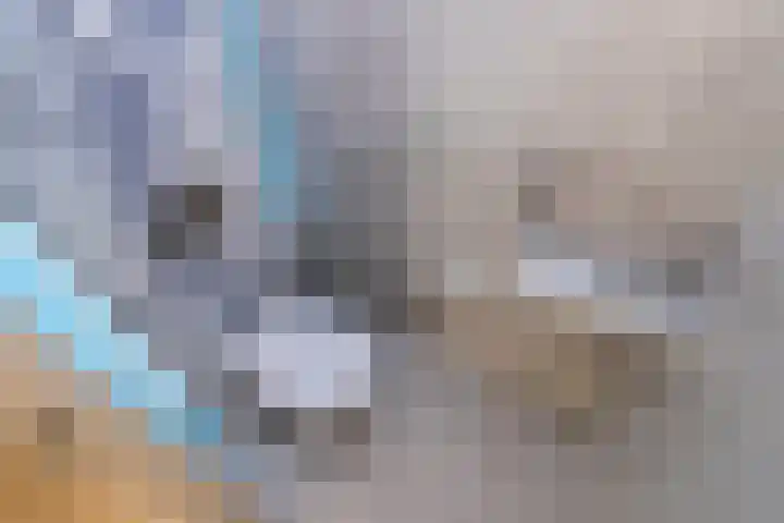 Sprang 4 Poeldijk thumbnail 37