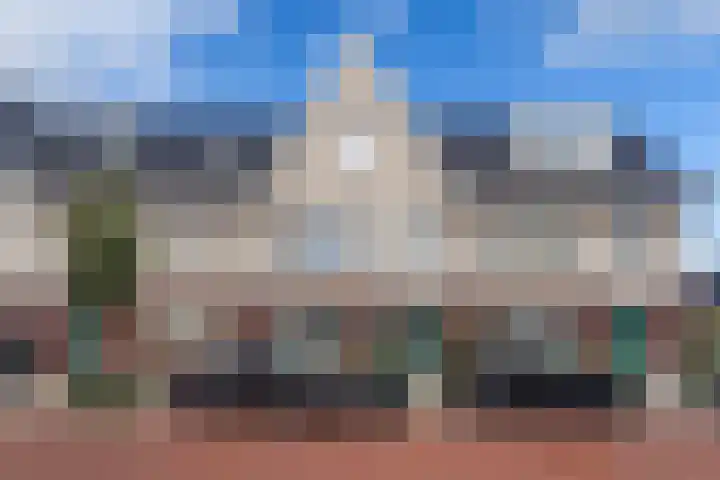 Sprang 4 Poeldijk thumbnail 38