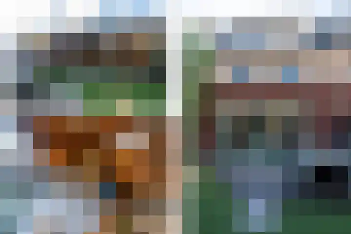 Sprang 4 Poeldijk thumbnail 4