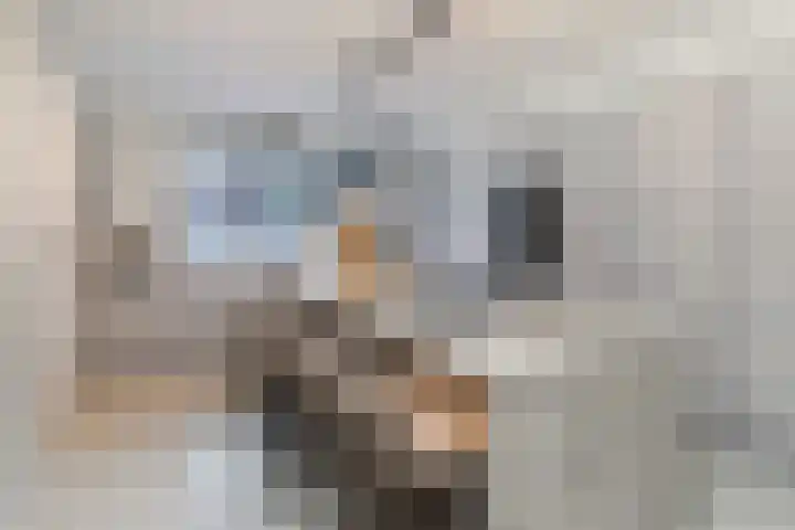 Sprang 4 Poeldijk thumbnail 6