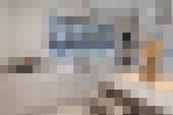 Sprang 4 Poeldijk thumbnail 8