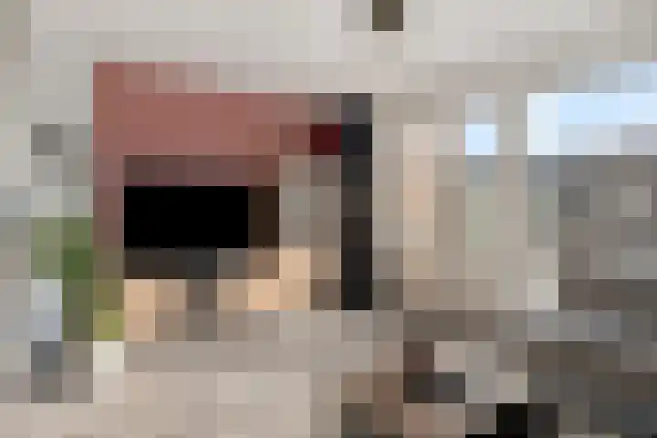Sprangsestraat 5 Kaatsheuvel thumbnail 10