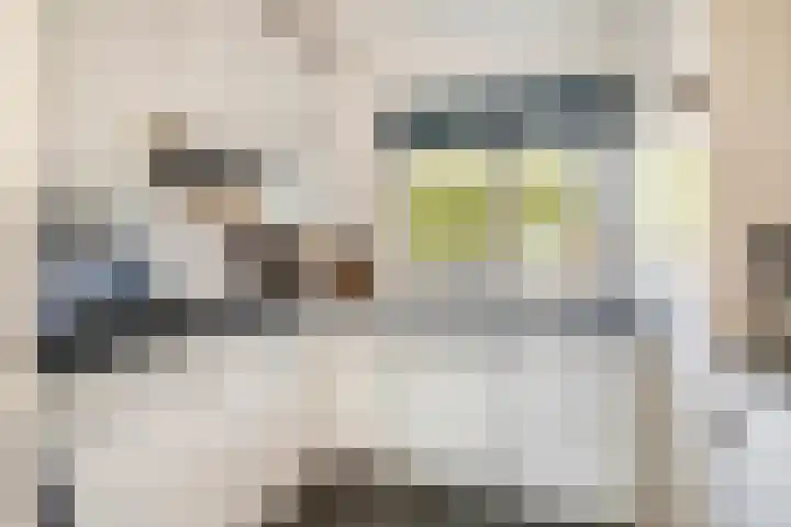 Sprangsestraat 5 Kaatsheuvel thumbnail 12