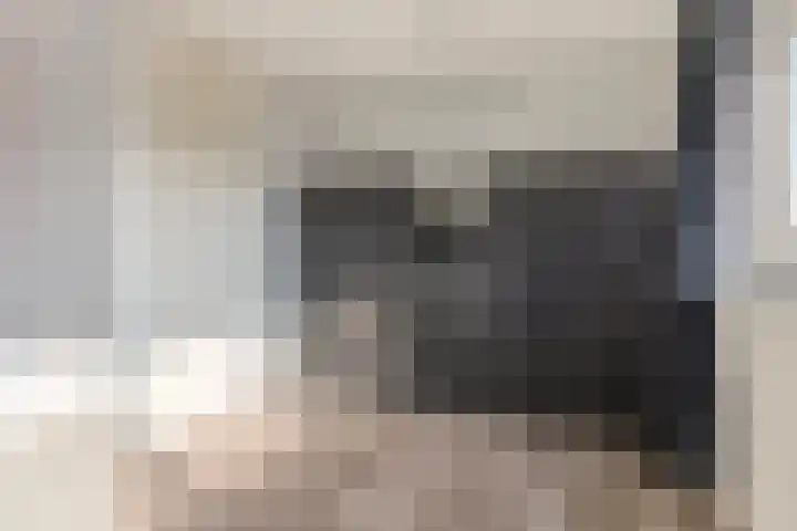 Sprangsestraat 5 Kaatsheuvel thumbnail 15