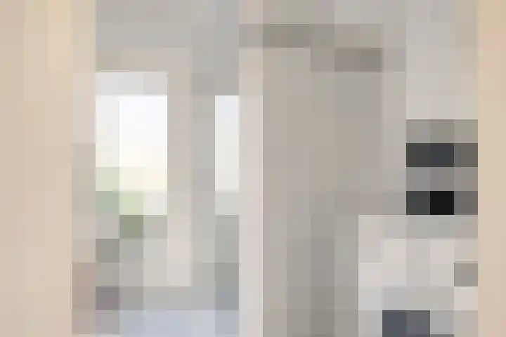 Sprangsestraat 5 Kaatsheuvel thumbnail 16