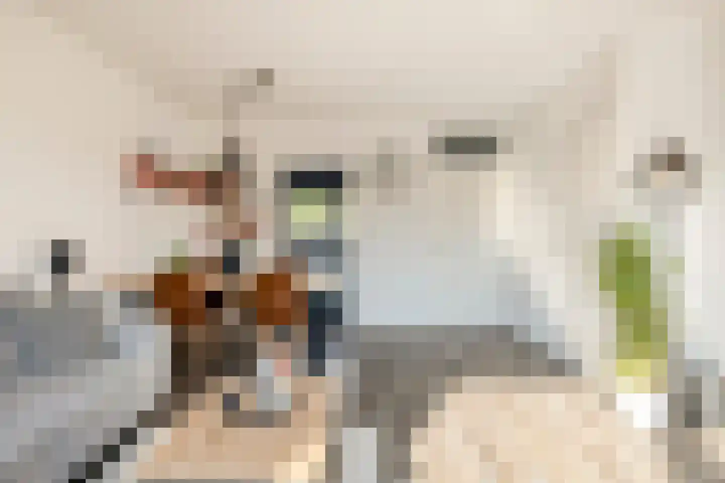 Sprangsestraat 5 Kaatsheuvel thumbnail 4