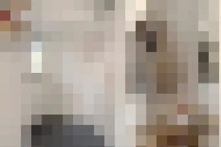 Sprangsestraat 5 Kaatsheuvel thumbnail 5
