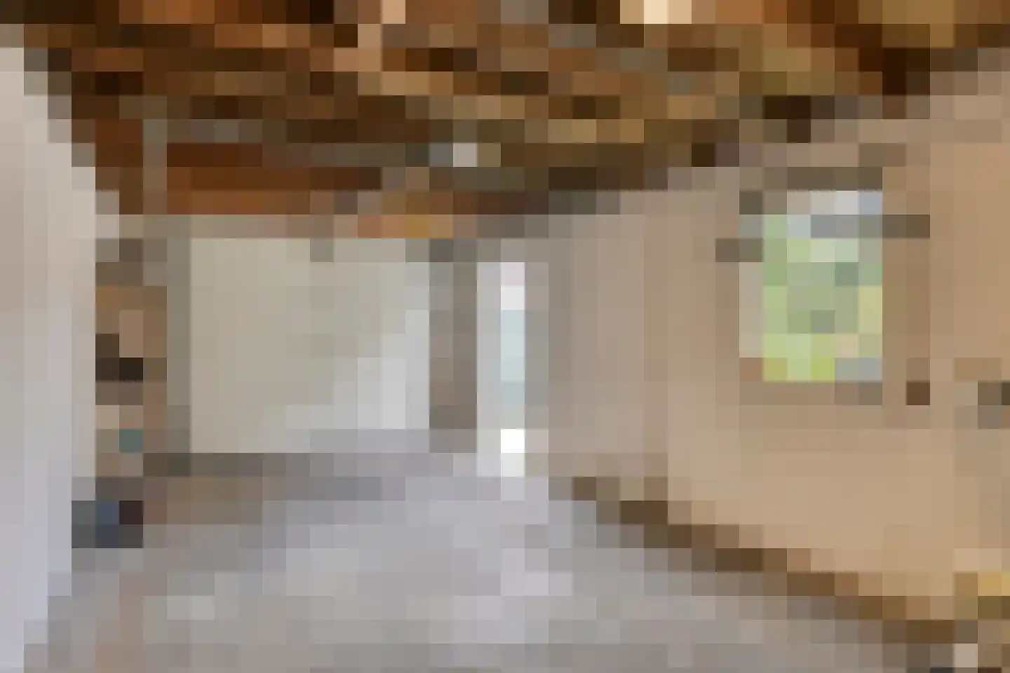 Sprangstraat 10 Weert thumbnail 31