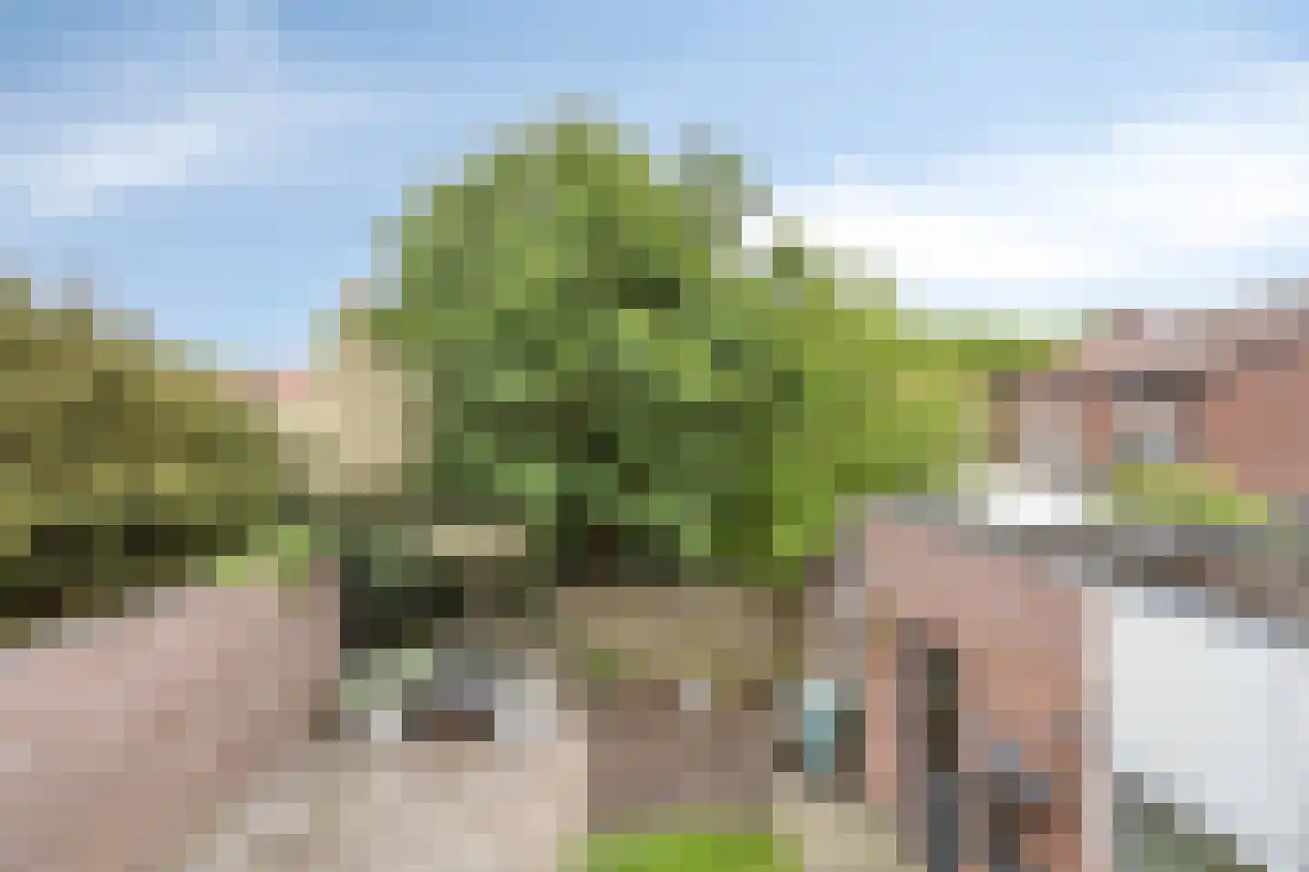 Sprangstraat 14 Weert thumbnail 37