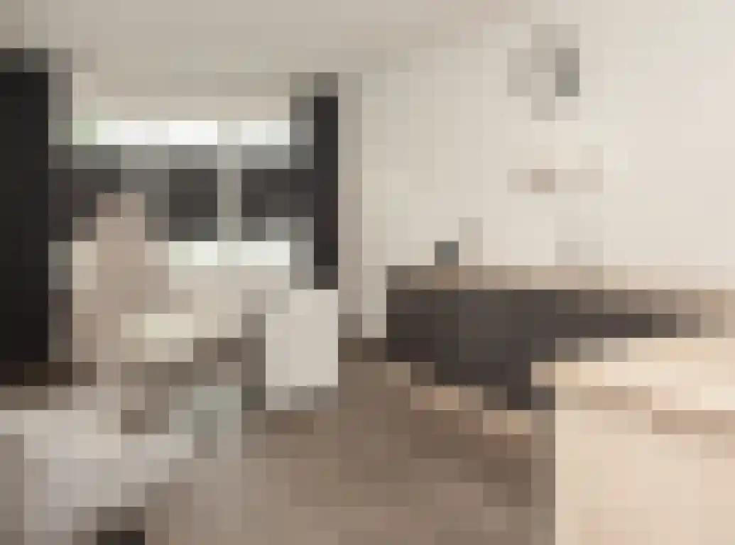 Sprangweg 27 a Hoeven thumbnail 10