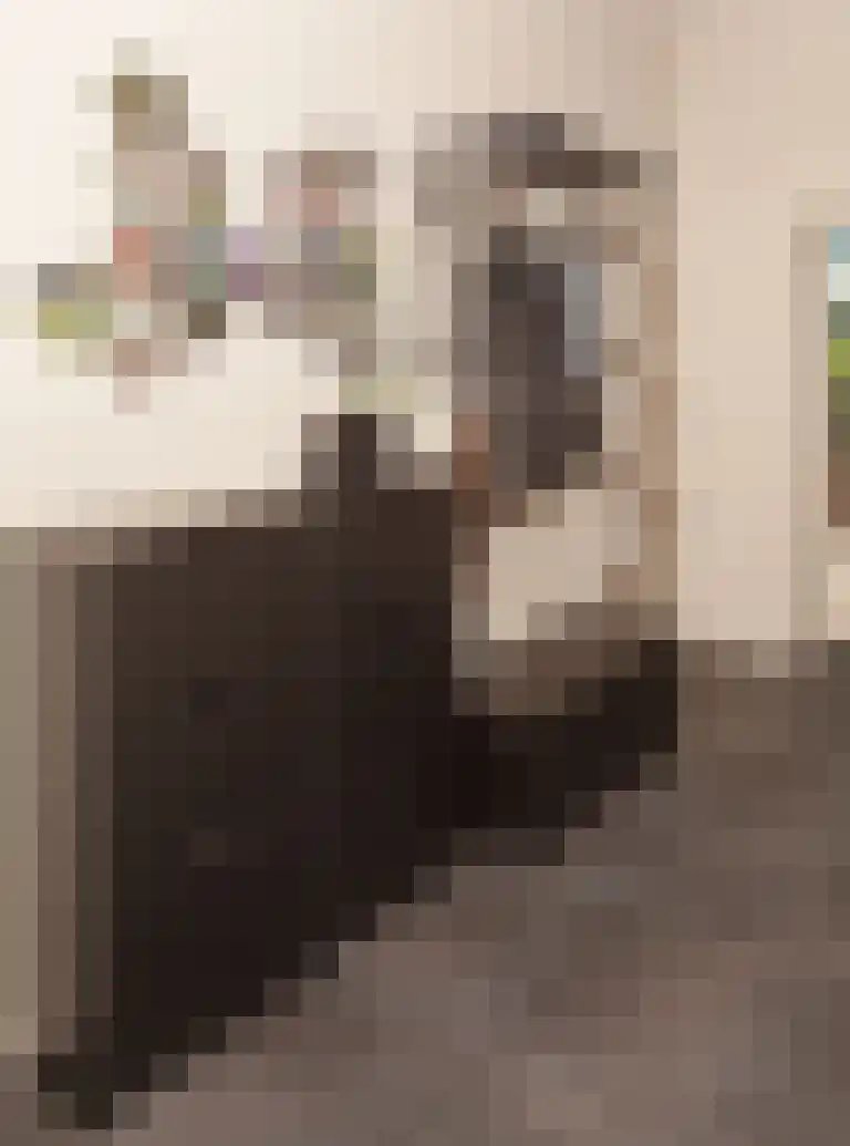 Sprangweg 27 a Hoeven thumbnail 19