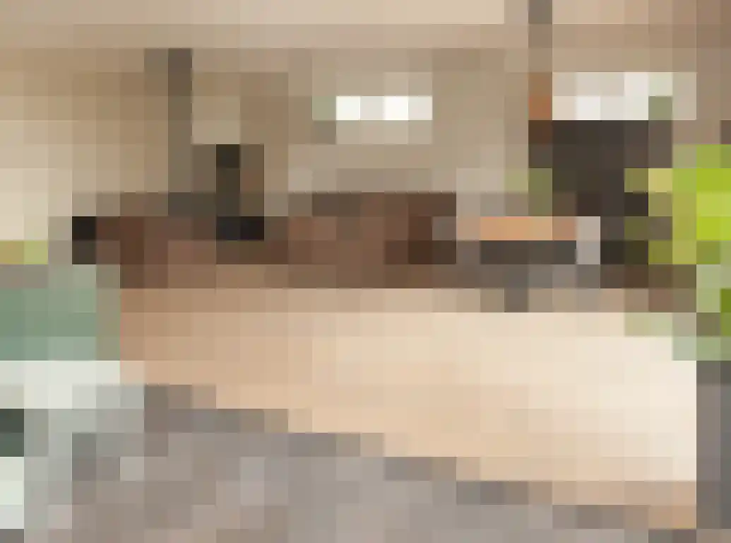 Sprangweg 27 a Hoeven thumbnail 24