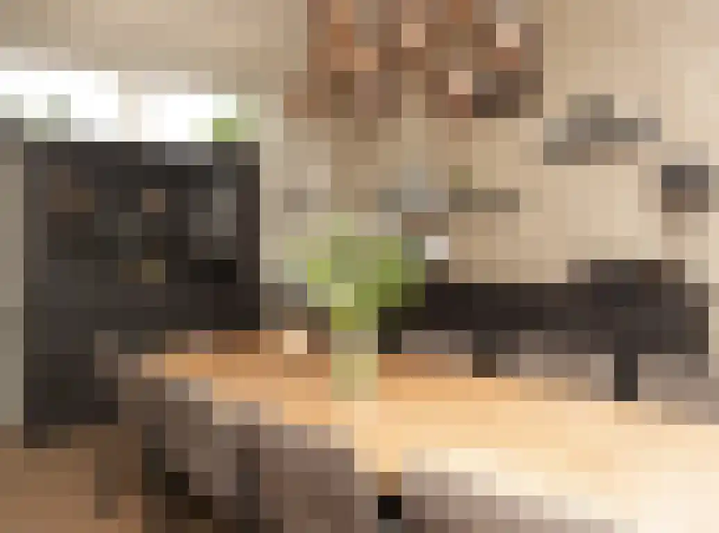 Sprangweg 27 a Hoeven thumbnail 30