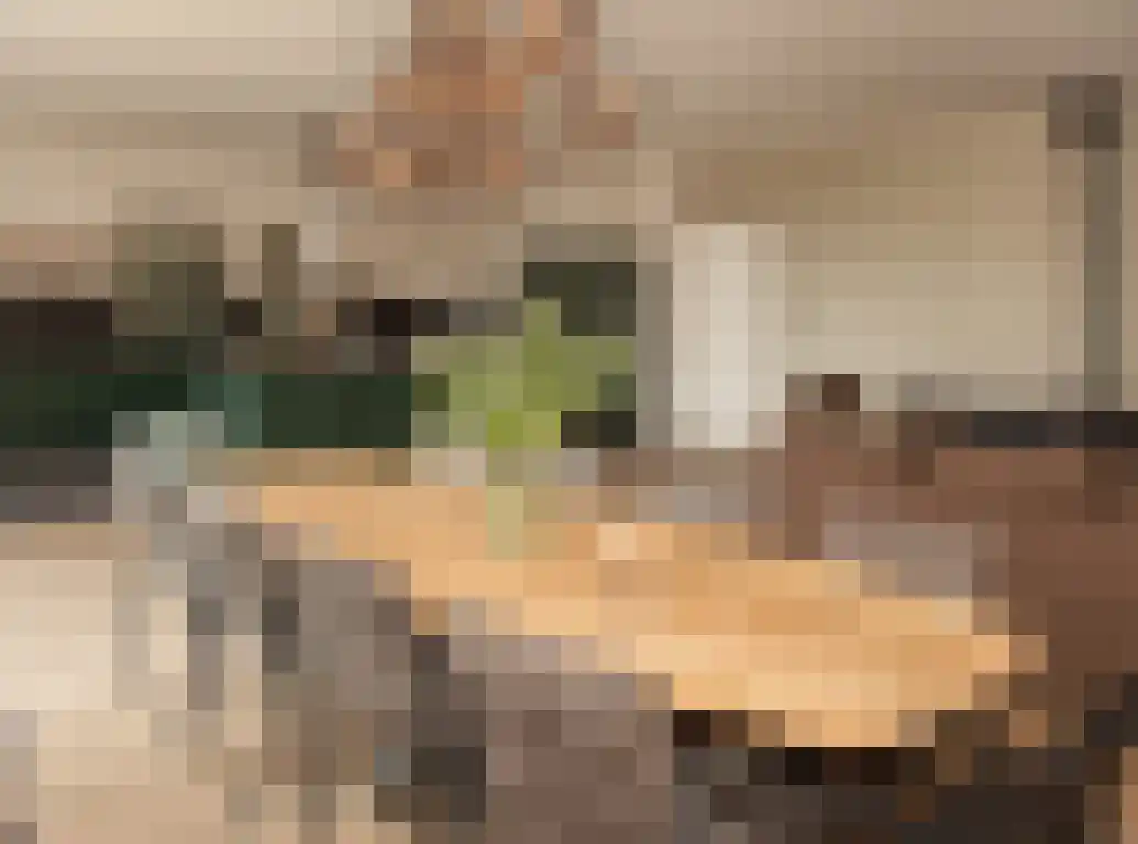 Sprangweg 27 a Hoeven thumbnail 31