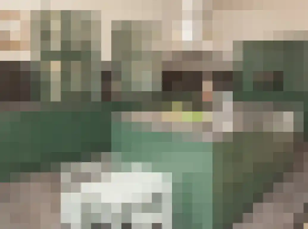 Sprangweg 27 a Hoeven thumbnail 35