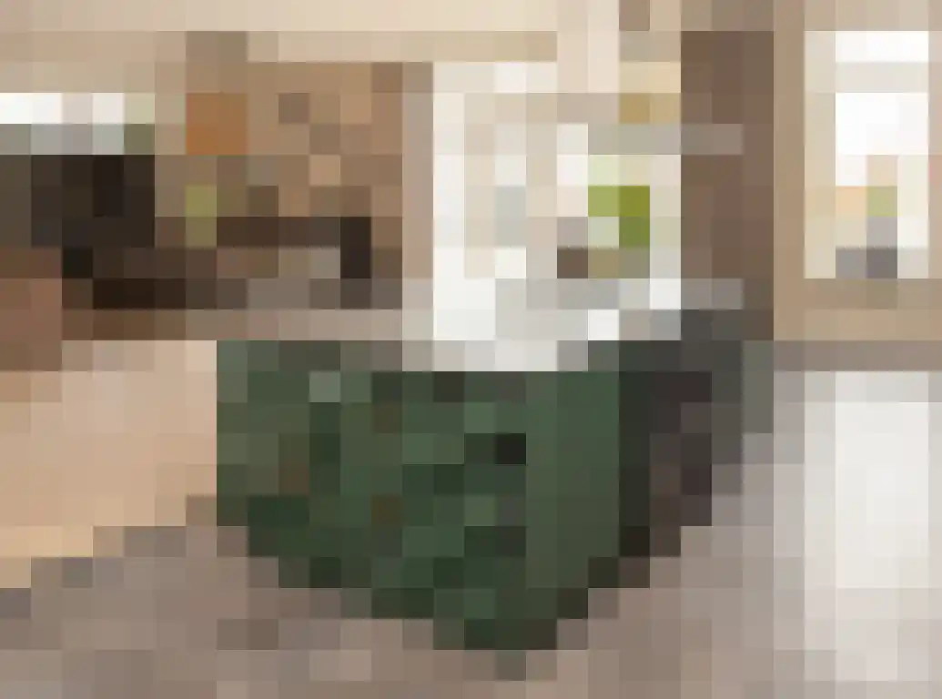 Sprangweg 27 a Hoeven thumbnail 36