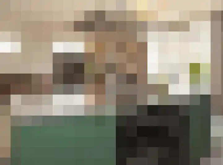 Sprangweg 27 a Hoeven thumbnail 39