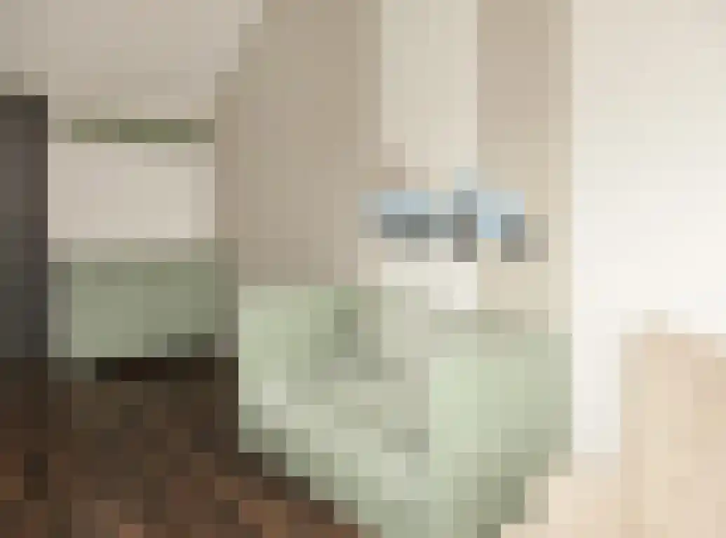 Sprangweg 27 a Hoeven thumbnail 60