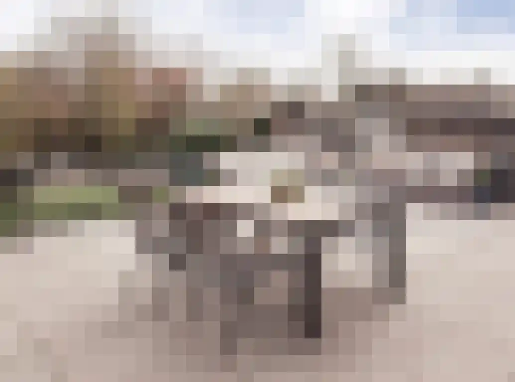 Sprangweg 27 a Hoeven thumbnail 73