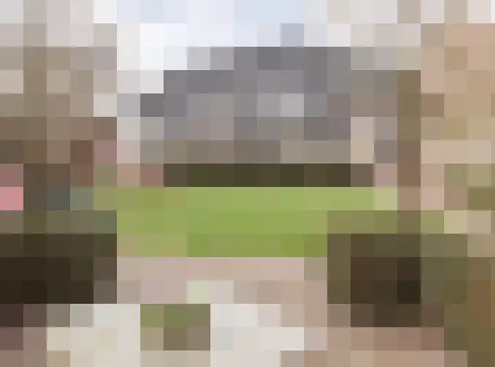 Sprangweg 27 a Hoeven thumbnail 78