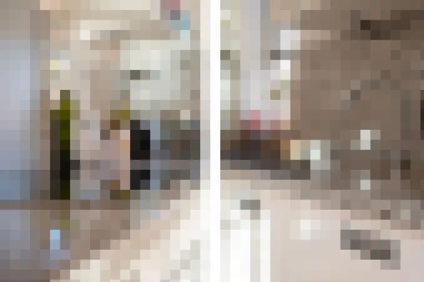 Spreestroom 10 Zoetermeer thumbnail 25