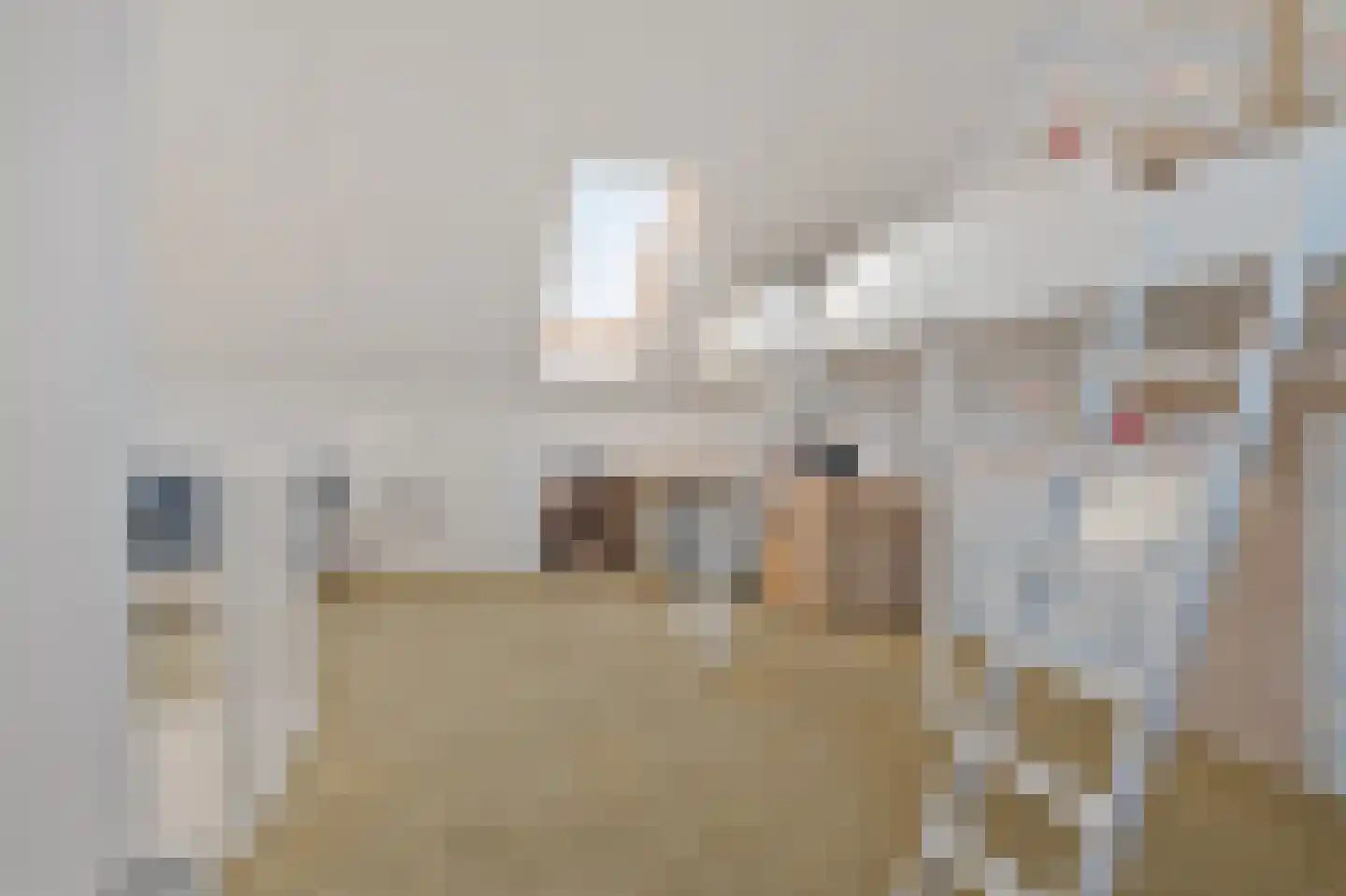 Spreestroom 10 Zoetermeer thumbnail 46