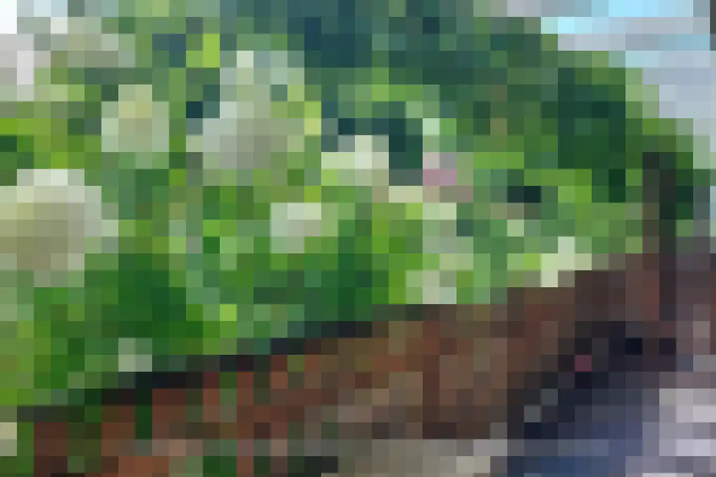 Spreestroom 10 Zoetermeer thumbnail 51