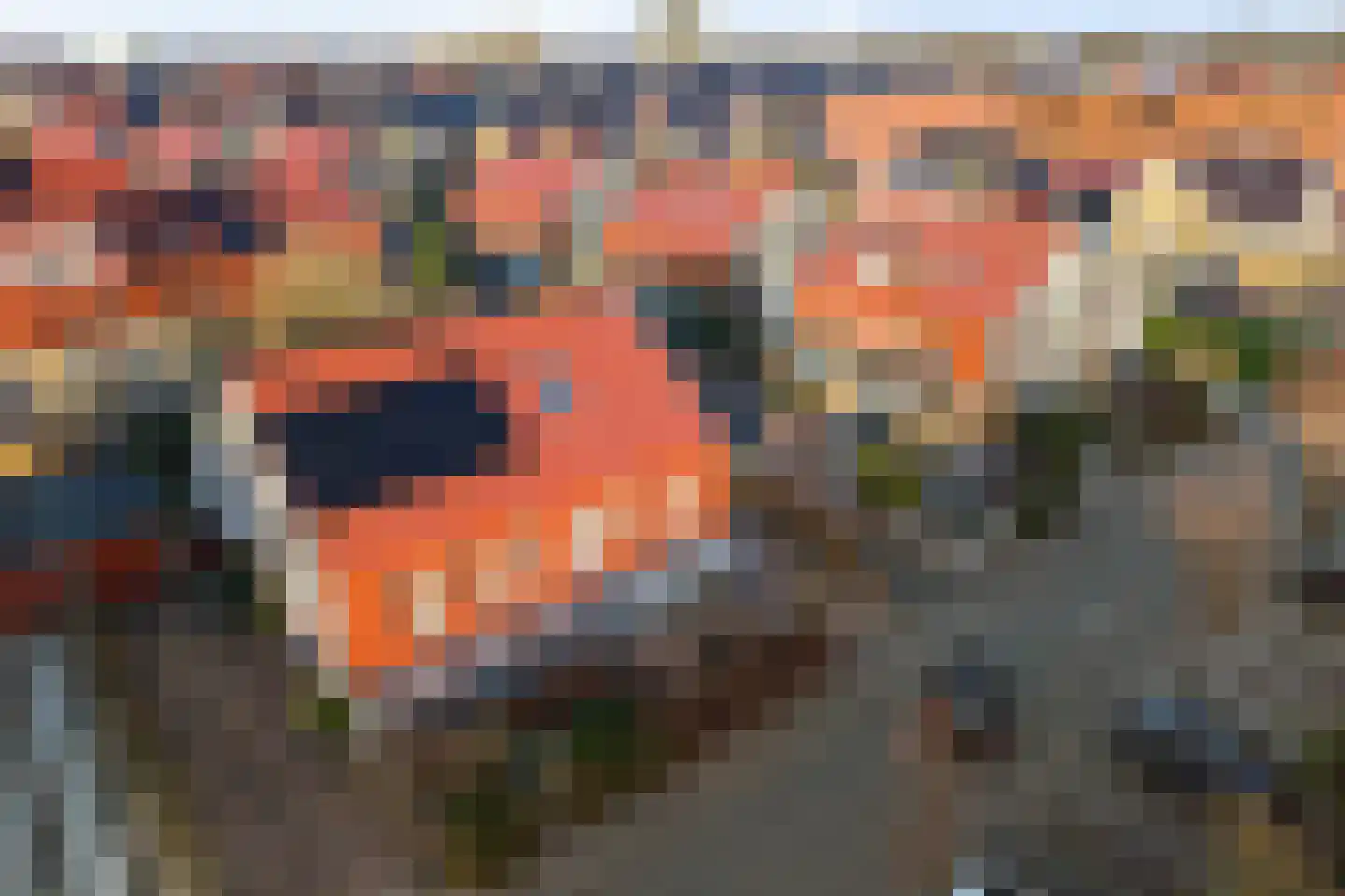Spreestroom 10 Zoetermeer thumbnail 59