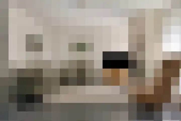 Spreeuwenburgerweg 15 Oisterwijk thumbnail 13